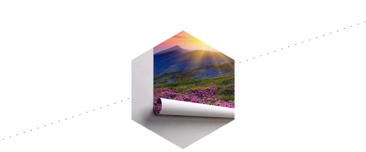 Fototapeta Kwiaty