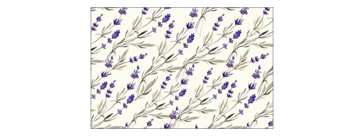 Fototapeta Lawenda Kwiaty