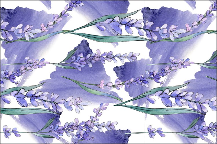 Fototapeta Lawenda Kwiaty