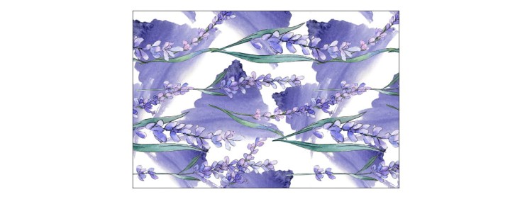 Fototapeta Lawenda Kwiaty