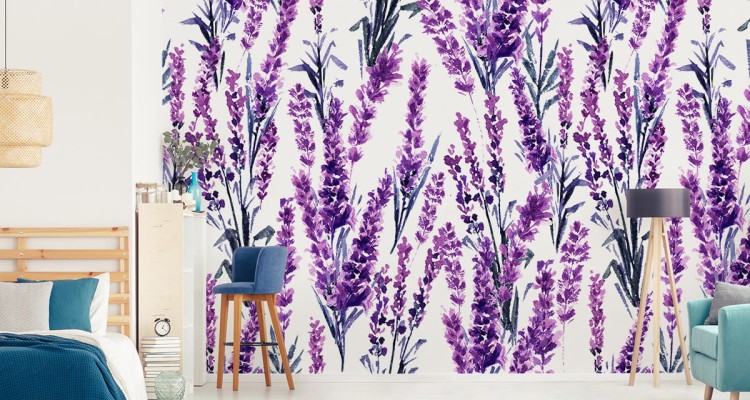 Fototapeta Lawenda Kwiaty