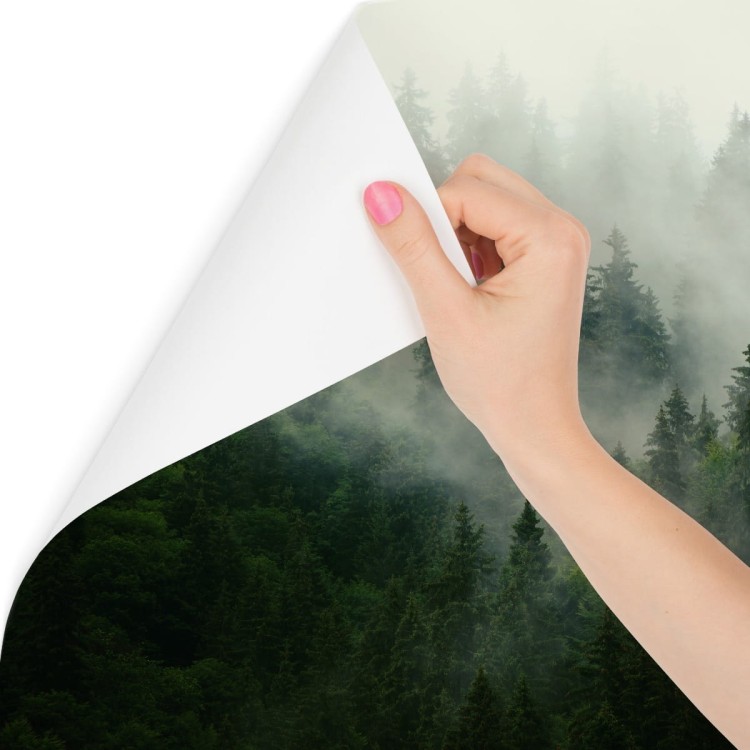 Fototapeta Las We Mgle