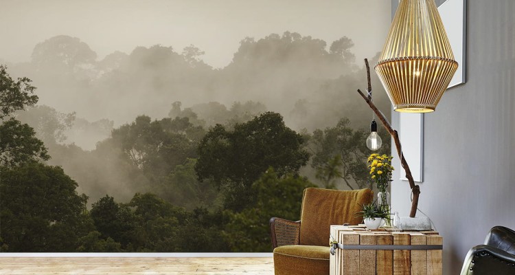 Fototapeta Las We Mgle