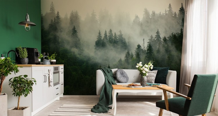 Fototapeta Las We Mgle