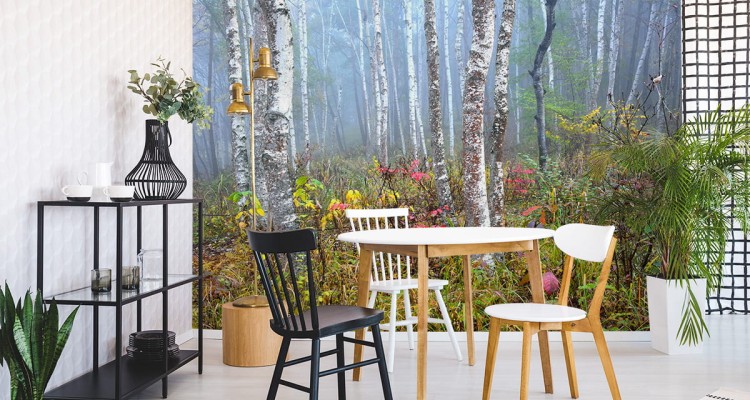 Fototapeta Las We Mgle