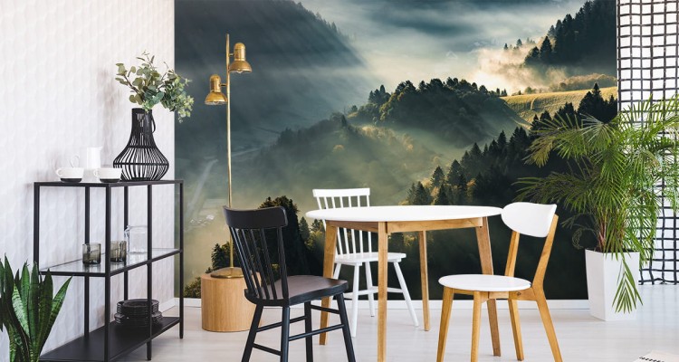 Fototapeta Las We Mgle