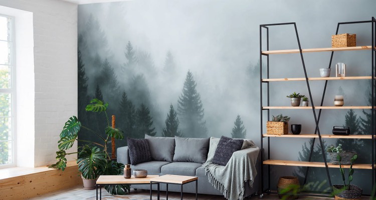 Fototapeta Las We Mgle