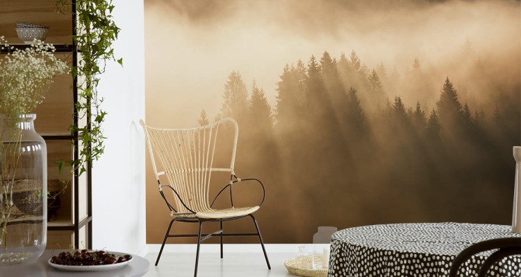 Fototapeta Las We Mgle