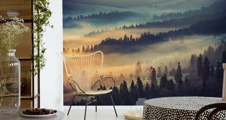 Fototapeta Las We Mgle