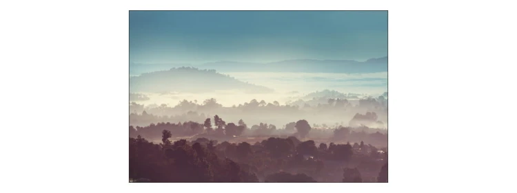 Fototapeta Las We Mgle