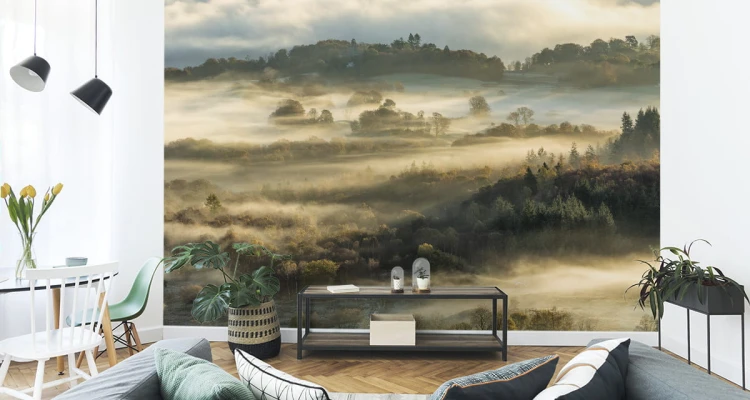 Fototapeta Las We Mgle