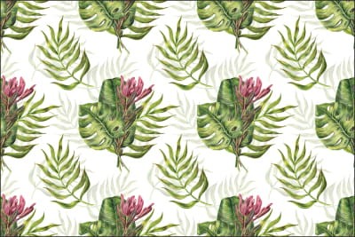 Fototapeta Liście Monstera