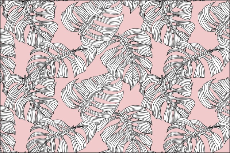 Fototapeta Liście Monstera