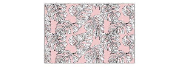 Fototapeta Liście Monstera