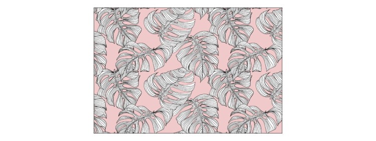Fototapeta Liście Monstera