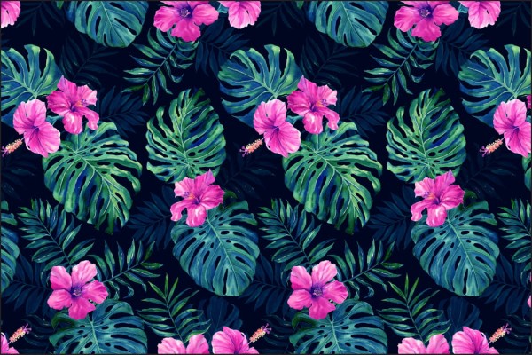 Fototapeta Liście Monstera