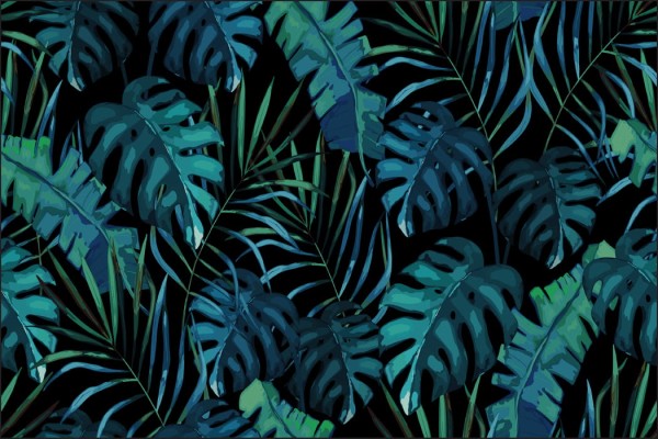 Fototapeta Liście Monstera