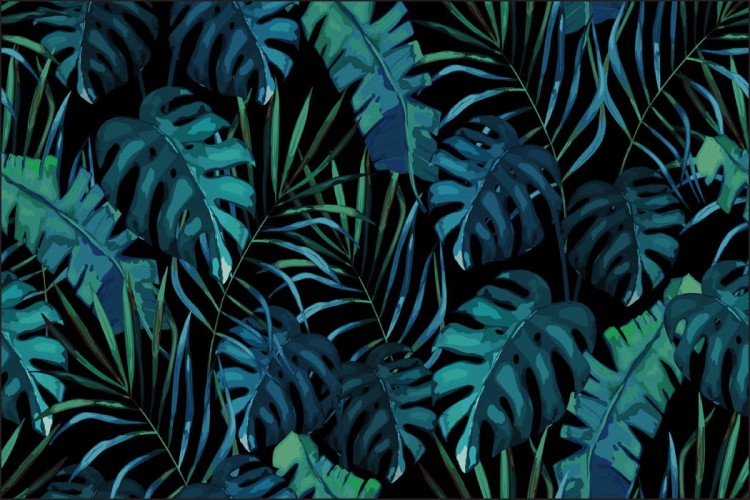 Fototapeta Liście Monstera