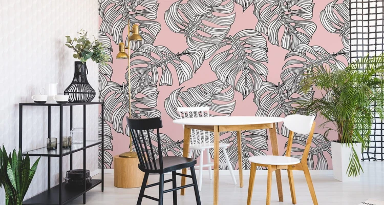 Fototapeta Liście Monstera