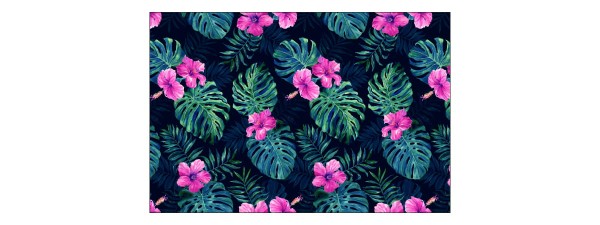 Fototapeta Liście Monstera