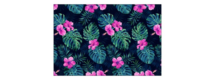 Fototapeta Liście Monstera