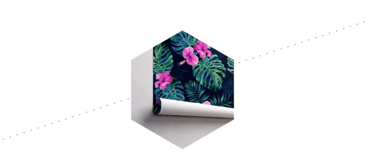 Fototapeta Liście Monstera