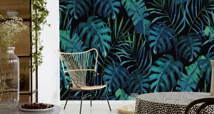Fototapeta Liście Monstera