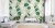 Fototapeta Liście Monstera