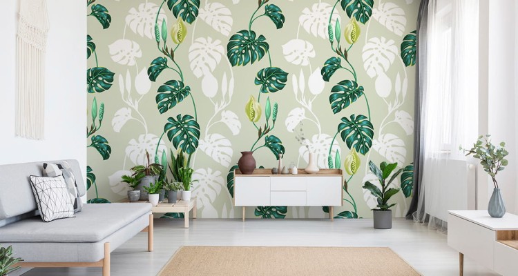 Fototapeta Liście Monstera