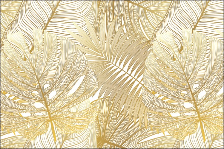 Fototapeta Liście Monstera