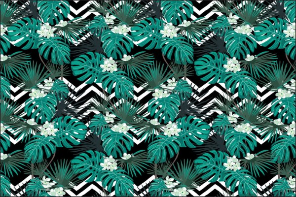 Fototapeta Liście Monstera
