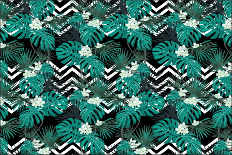 Fototapeta Liście Monstera