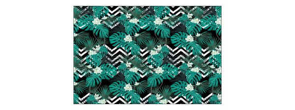 Fototapeta Liście Monstera