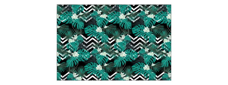 Fototapeta Liście Monstera