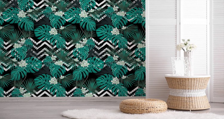 Fototapeta Liście Monstera