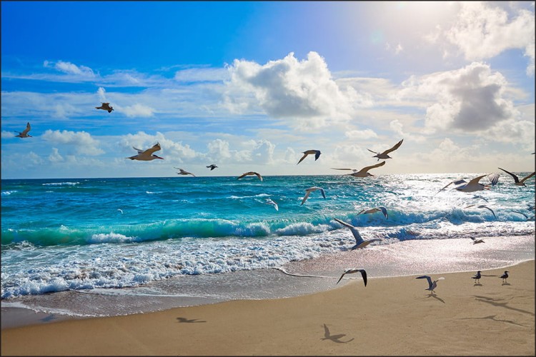 Fototapeta Plaża Morze Fale