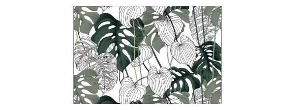 Fototapeta Liście Monstera