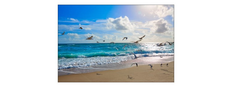 Fototapeta Plaża Morze Fale