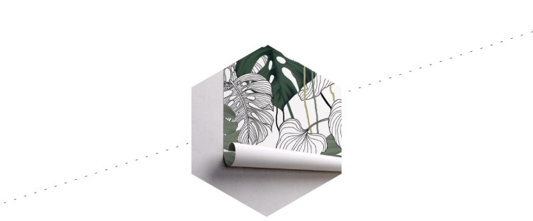Fototapeta Liście Monstera