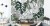 Fototapeta Liście Monstera