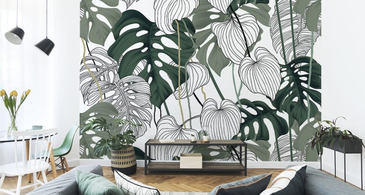 Fototapeta Liście Monstera