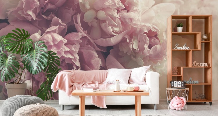 Fototapeta Kwitnące Peonie