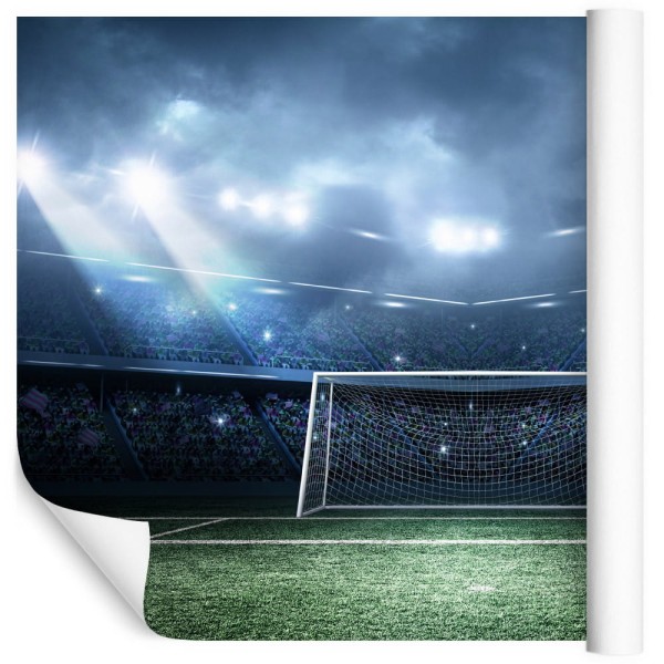 Fototapeta Stadion Piłkarski Boisko
