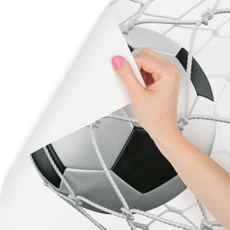 Fototapeta 3D Piłka W Siatce