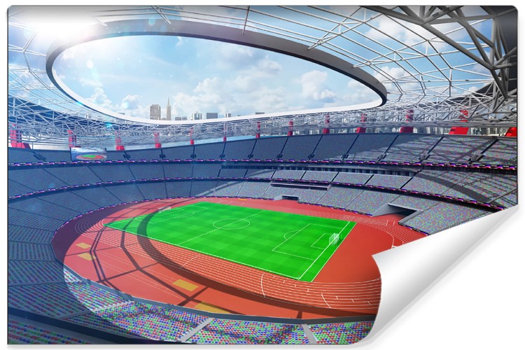 Fototapeta Stadion Piłka Nożna