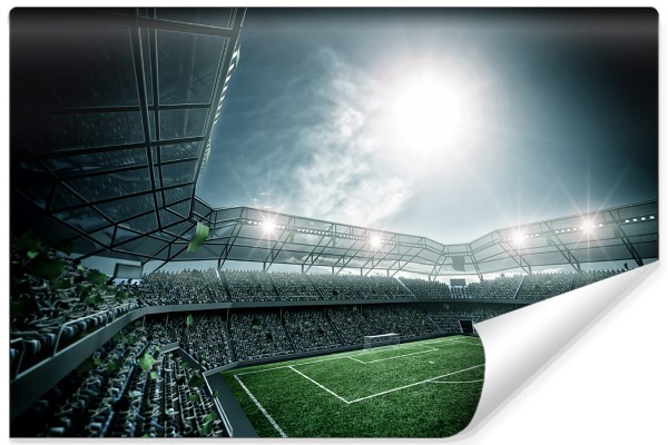 Fototapeta Stadion Piłka Nożna