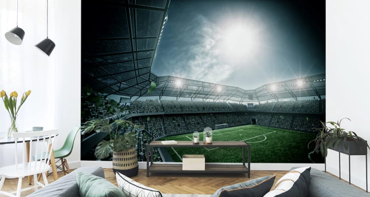 Fototapeta Stadion Piłka Nożna