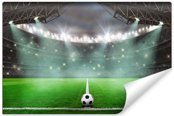 Fototapeta Piłka Nożna Stadion