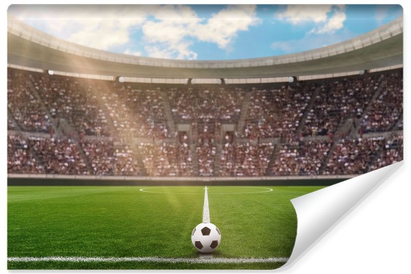 Fototapeta Piłka Nożna Stadion