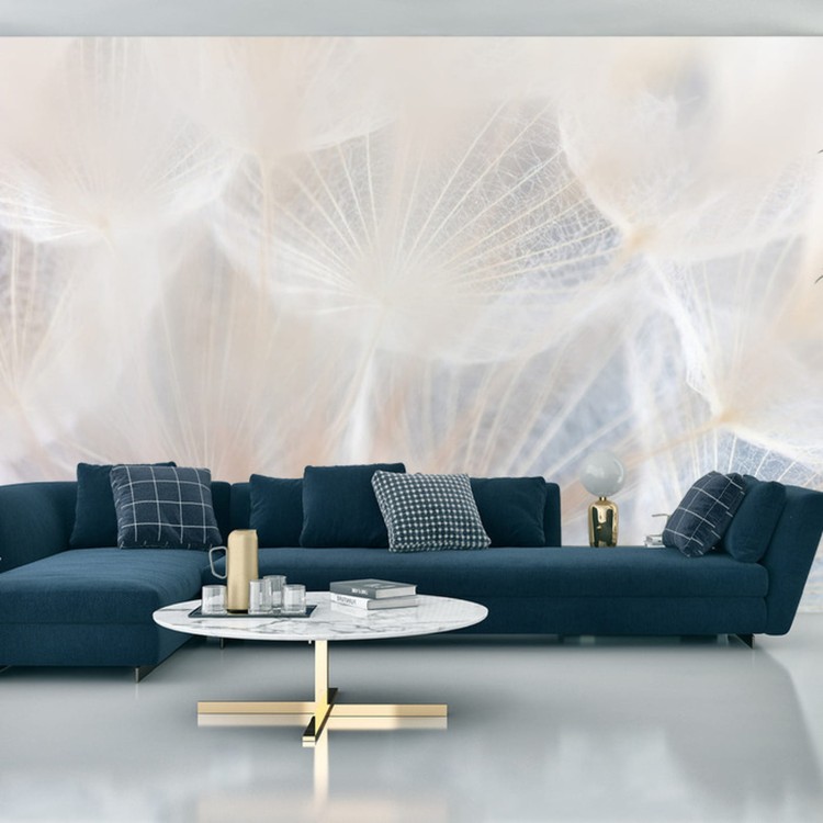 Fototapeta Abstract Dandeli. Seed Macro Closeup. Soft Focus